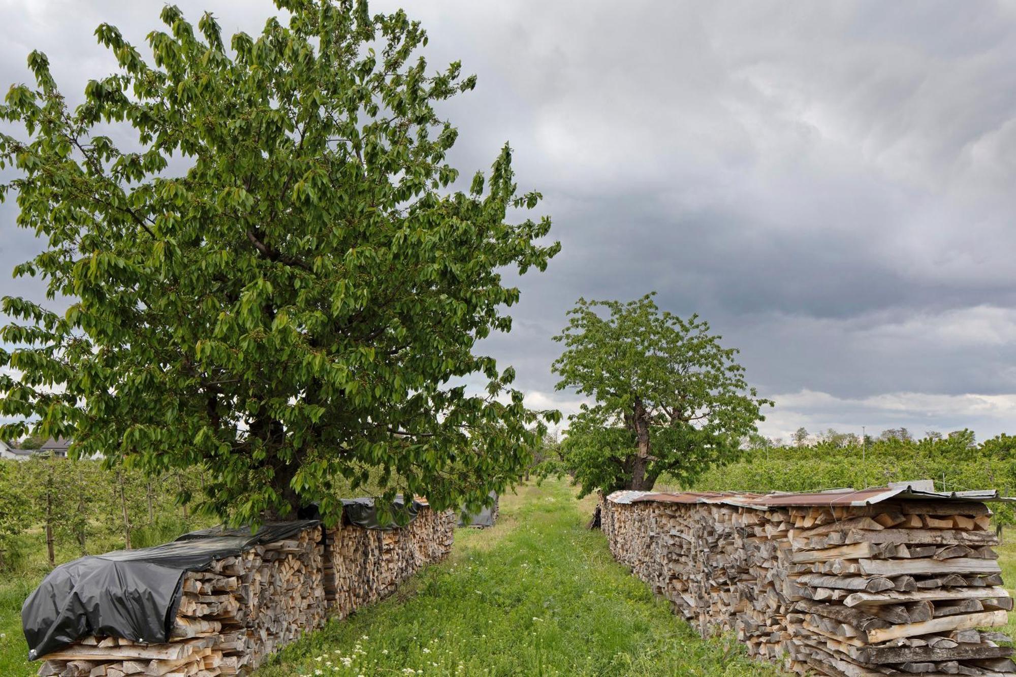 Ferienhof Schloessle Sasbach am Kaiserstuhl Exteriér fotografie