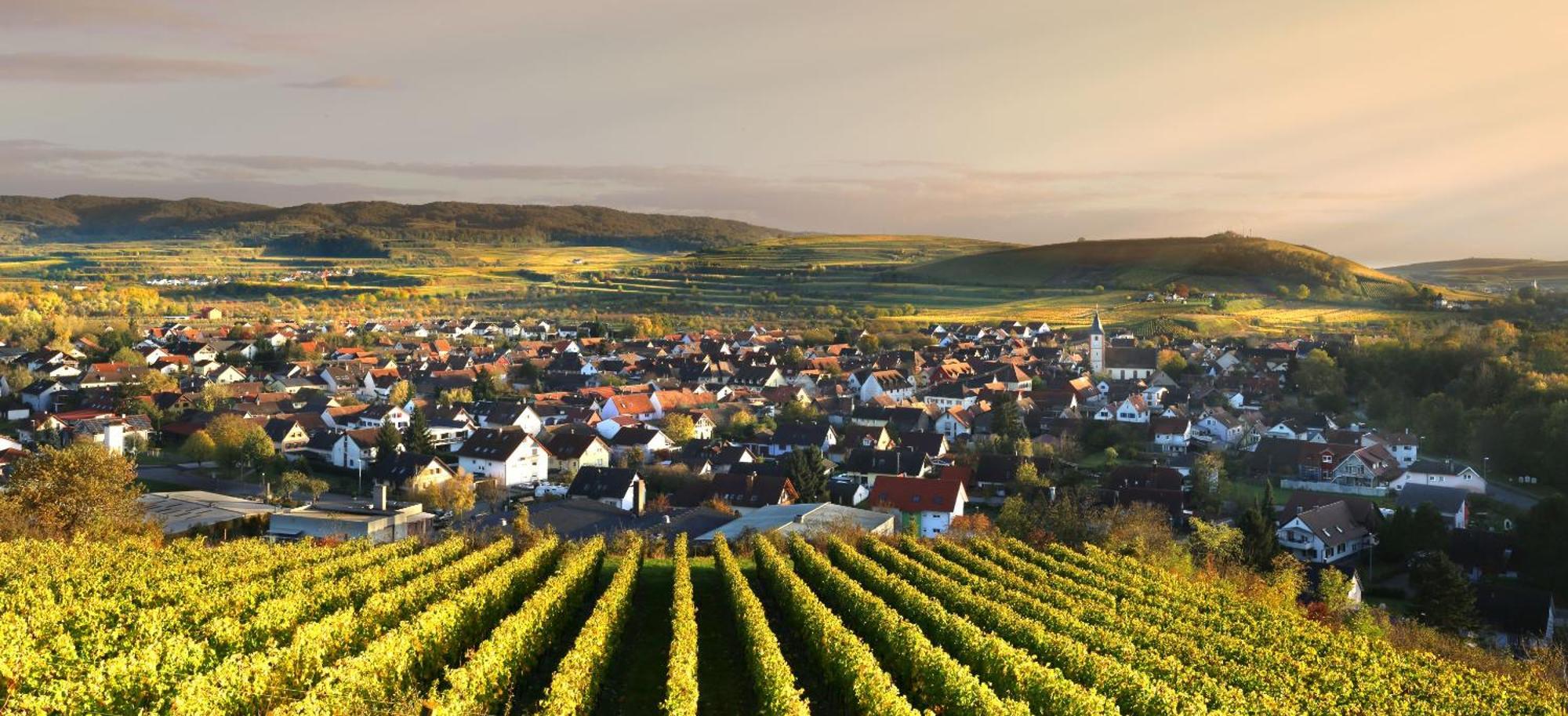 Ferienhof Schloessle Sasbach am Kaiserstuhl Exteriér fotografie
