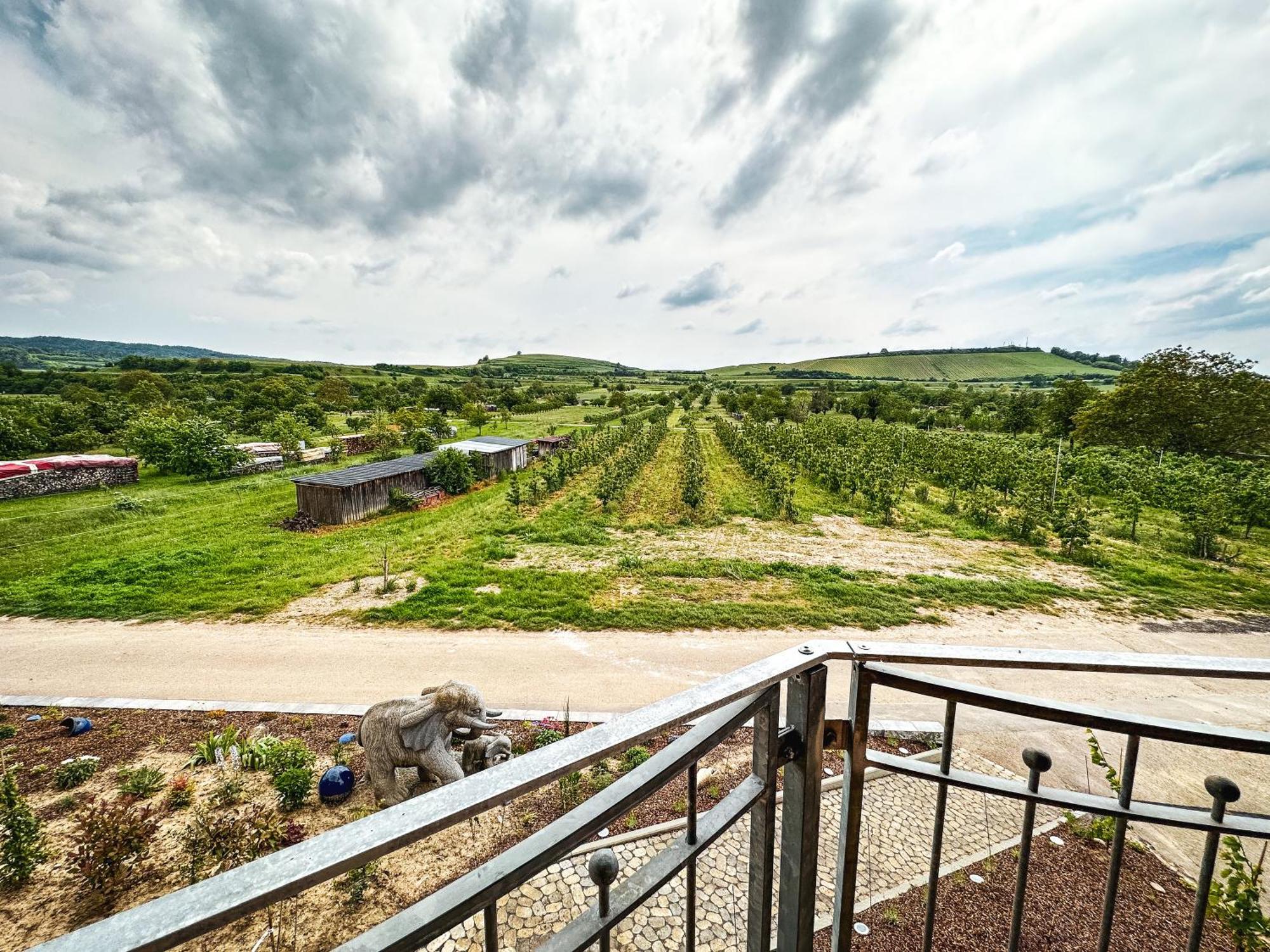 Ferienhof Schloessle Sasbach am Kaiserstuhl Exteriér fotografie